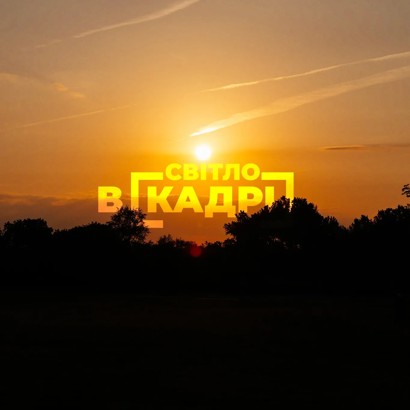 IMG 3100.PNG14